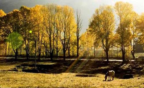 成都租車去新都橋攝影自駕3日游