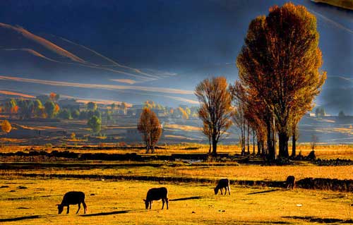 成都租車(chē)去最美稻城6日自駕游